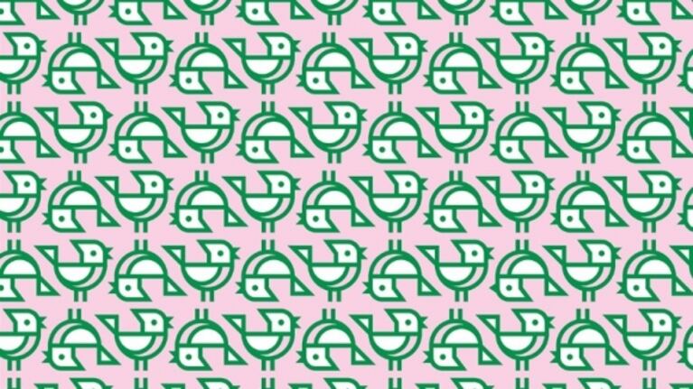 Reto visual: encuentra a los pajaritos con el pico cerrado