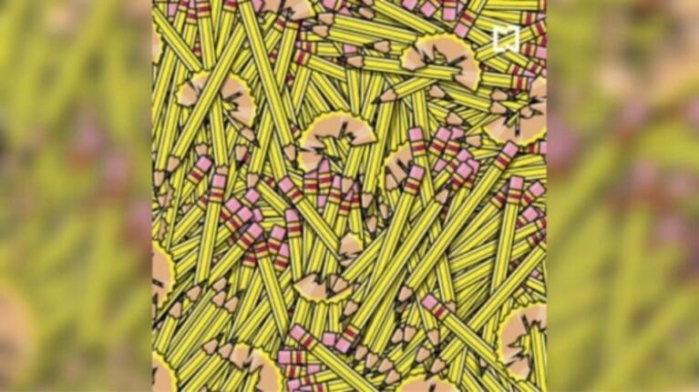 Reto visual: ¿sos capaz de encontrar un lápiz mordido, otro con dos puntas y uno pequeño?
