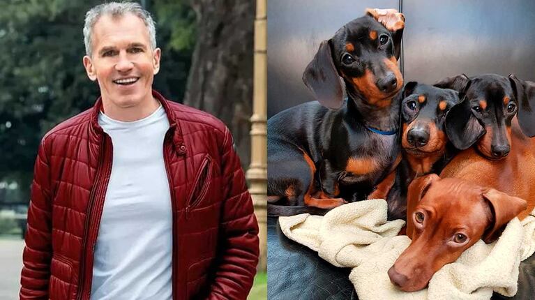 Ricardo Piñeiro y sus perritas Dachshund (Foto: Instagram @richardpineirooficial)