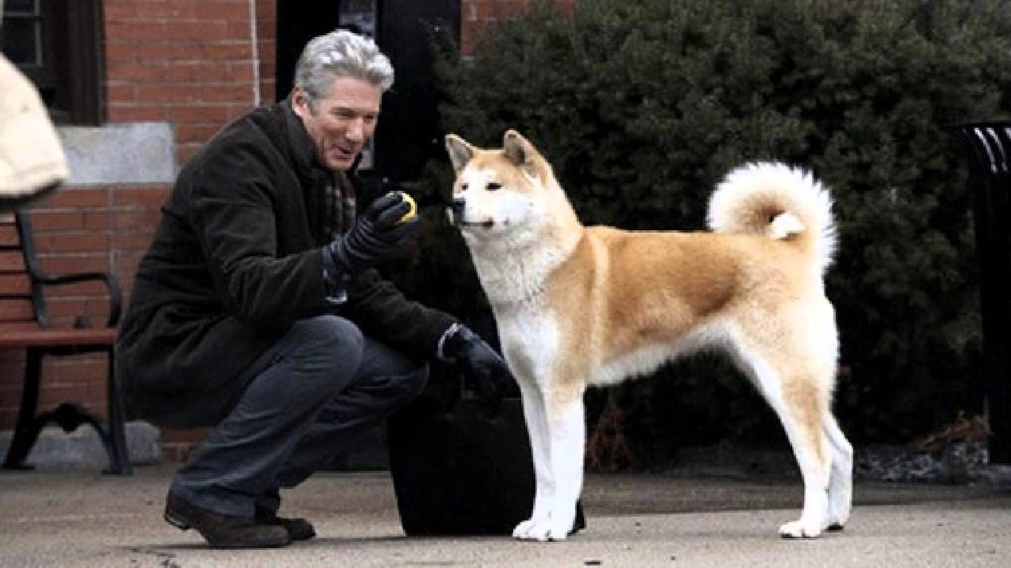 Richard Gere: datos curiosos de la película Siempre a tu lado, Hachiko