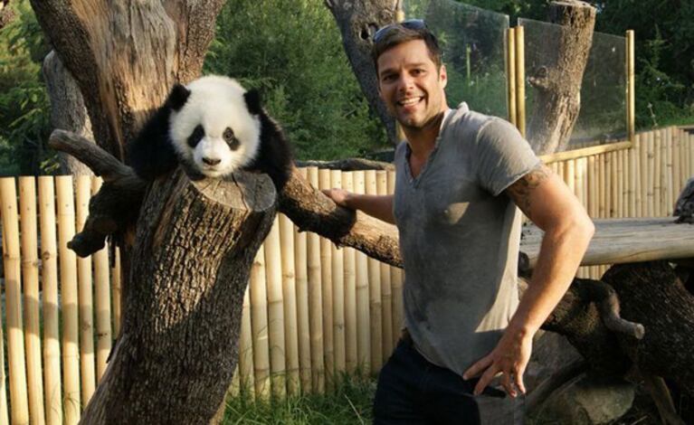 Ricky Martin, feliz en el zoológico de Madrid. (Foto: @ricky_martin)