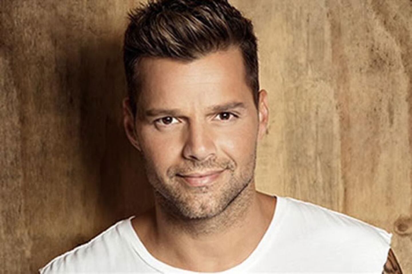 Ricky Martin: "Me gustaría poder volver a salir del clóset". (Foto: Web)