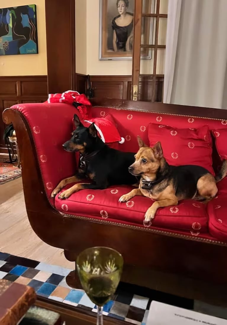 Robertito Funes Ugarte abrió las puertas de su casa de campo: un refugio vintage para sus 10 perros rescatados. Crédito: Instagram