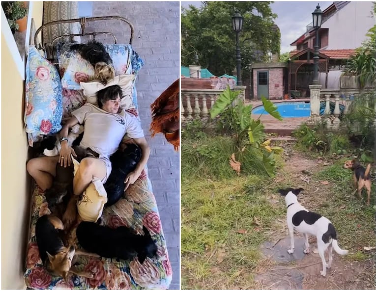 Robertito Funes Ugarte mostró la impactante remodelación de su casa estilo inglés para vivir con sus 10 perros. Crédito: Instagram