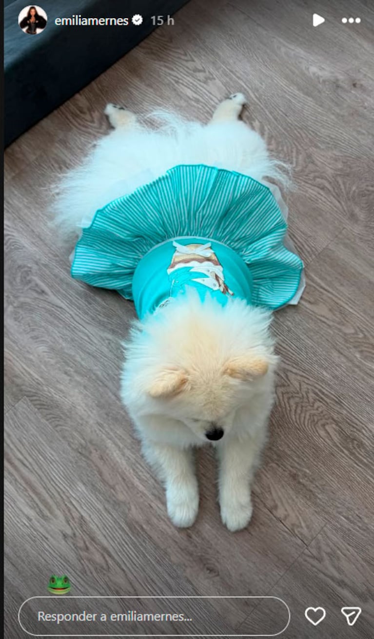 Roma, la perrita de Emilia Mernes y Duki (Fotos de Instagram @emiliamernes)