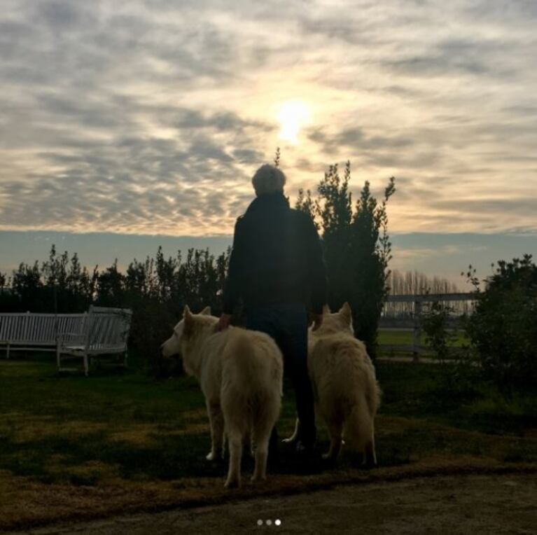 ¡Romance al aire libre! China Suárez y Benjamín Vicuña, amor campestre en las afueras de la ciudad