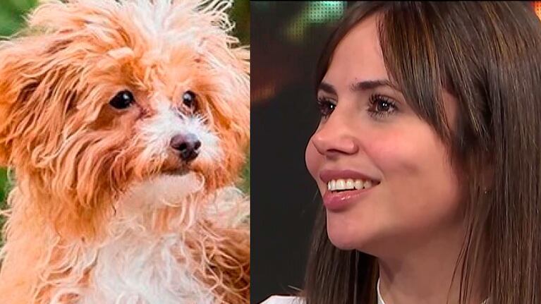 Romina Uhrig habló de su perrito Caramelo tras la versión de descuido