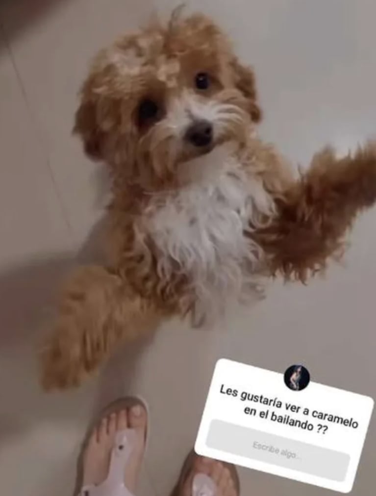 Romina Uhrig se defendió contundente tras haber sido acusada de matar a su perro Caramelo