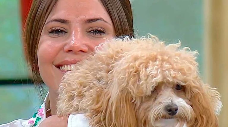 Romina Uhrig y el perrito Caramelo  (Foto: captura Telefe)