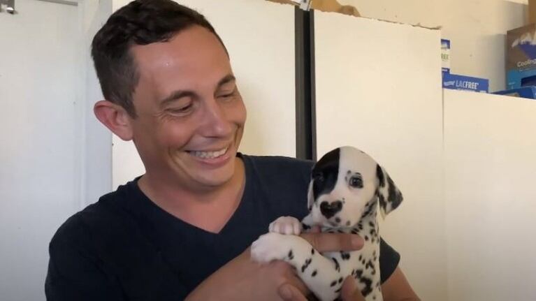 Rorschach, el dálmata con nariz en forma de corazón