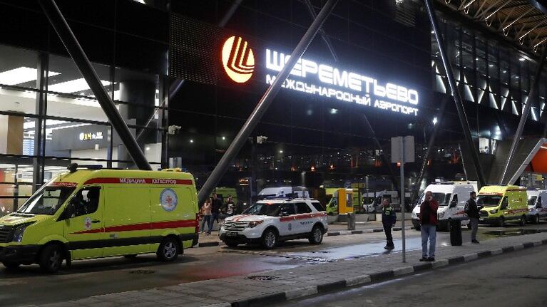 Rusia adiestra perros para detectar el coronavirus en aeropuertos. Foto: EFE.