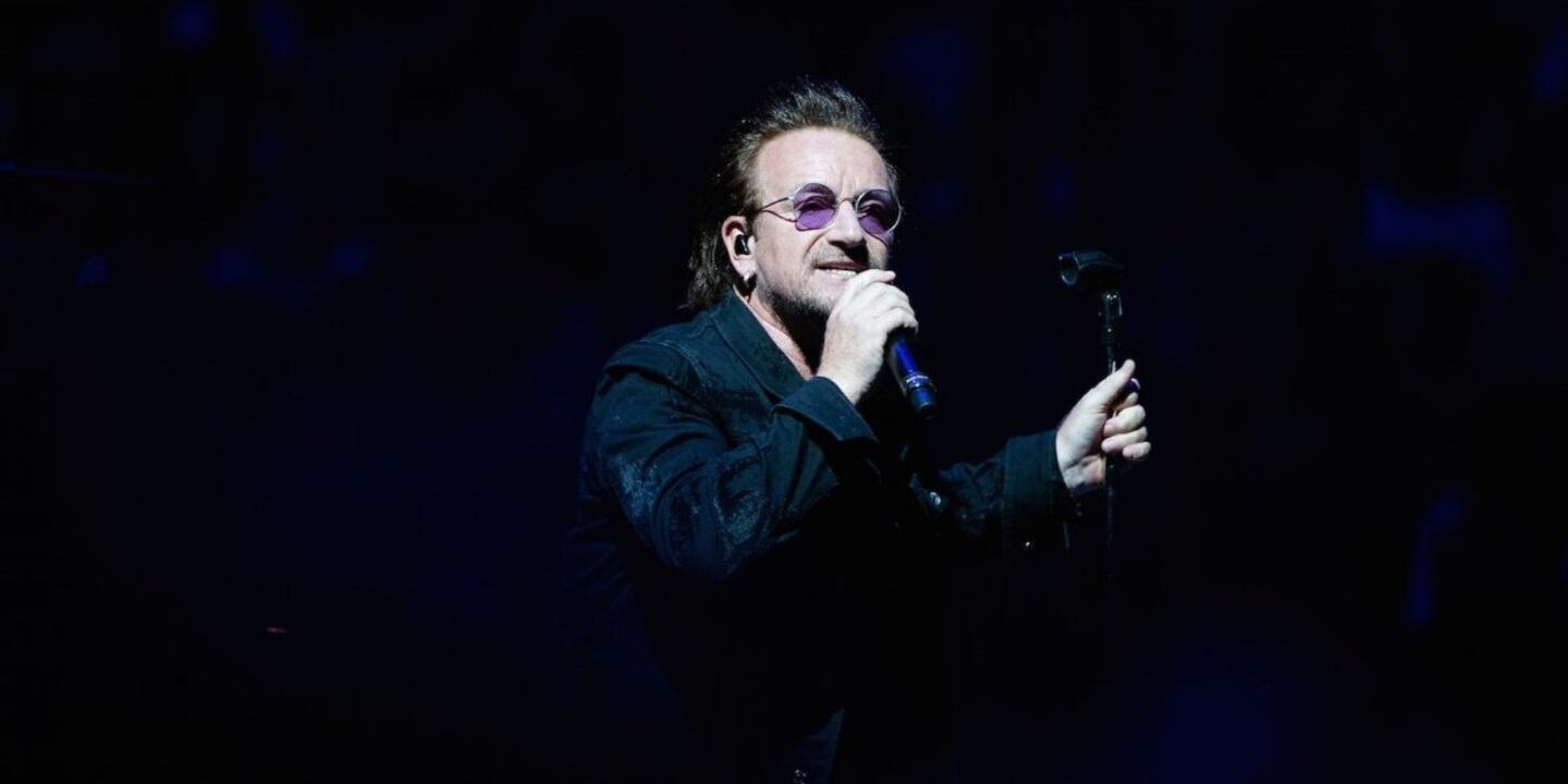 ¿Sabías que existe una araña bautizada en honor a Bono?