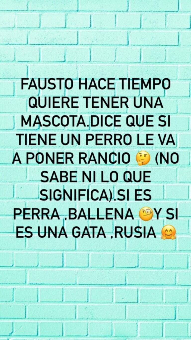 Sabrina Rojas y Luciano Castro sorprendieron a sus hijos con un perrito: ¡la reacción de Esperanza y Fausto!