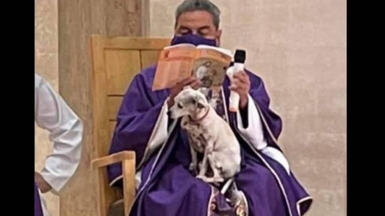 Sacerdote enternece las redes al oficiar su misa con su perrita en el regazo