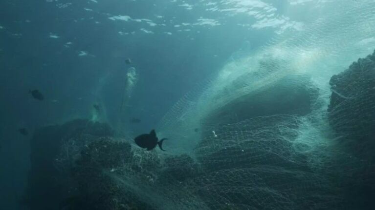 Samsung reutiliza el plástico de las redes de pesca abandonadas en sus nuevos dispositivos Galaxy