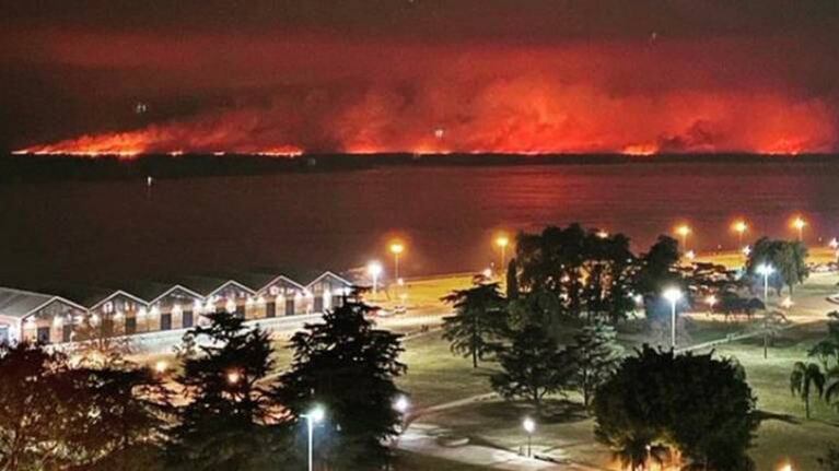 Santa Fe asegura que hay intencionalidad en los incendios de los pastizales en Entre Ríos
