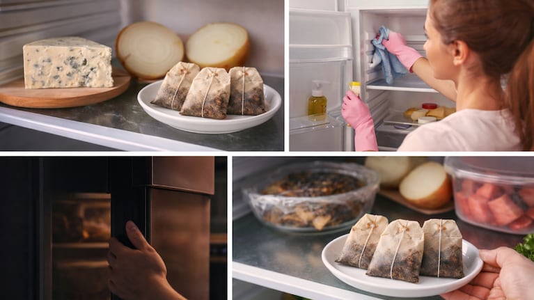 Saquitos de té en la heladera: se recomienda usarlos en las siguientes situaciones. Foto: (imagen creada con IA)