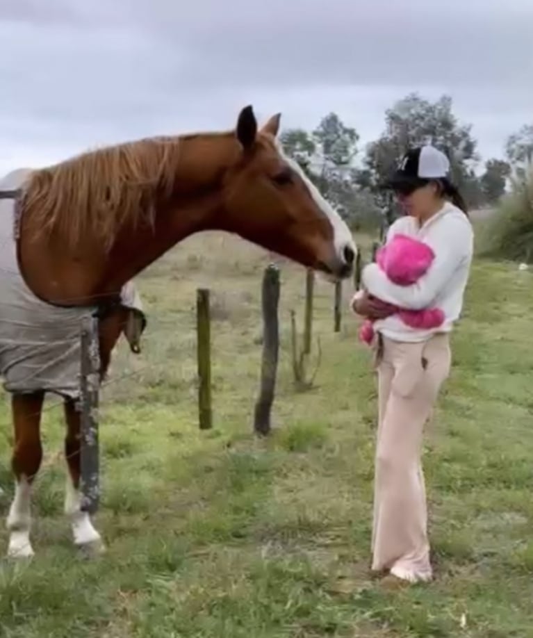 Sarah Burlando pasó una tarde con los caballos en el campo: las tiernas fotos