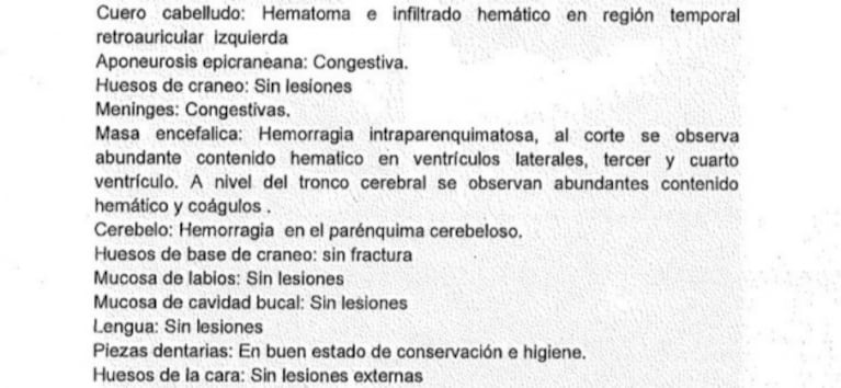 Se conocieron los detalles de la autopsia de Fernando Báez Sosa: los golpes le provocaron un shock neurogénico