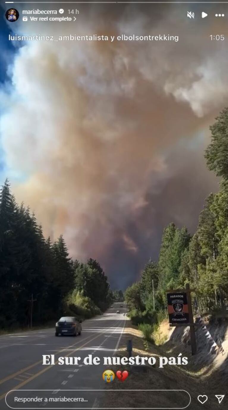 Se incendia la Patagonia: los desesperados pedidos de ayuda de los famosos
