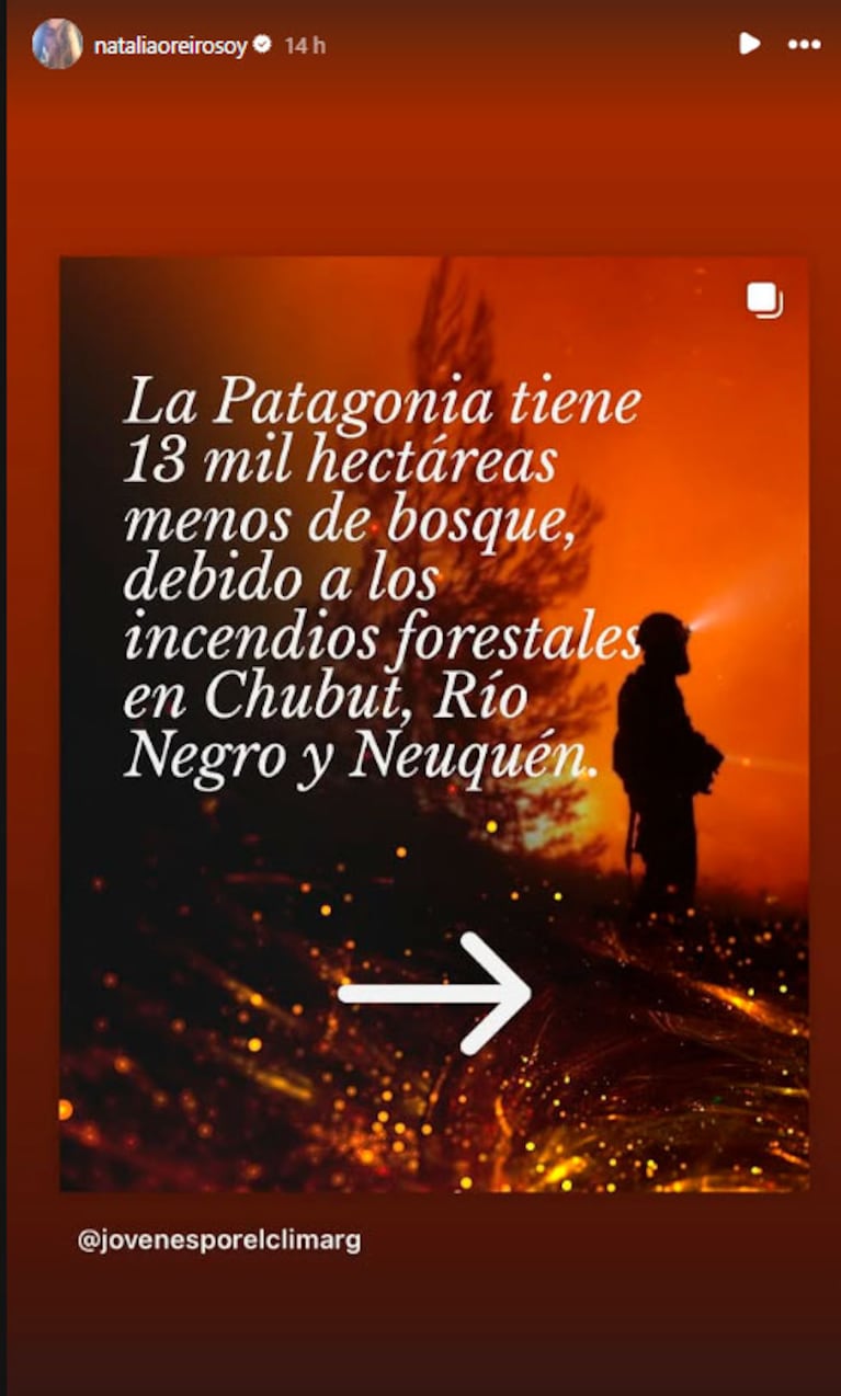 Se incendia la Patagonia: los desesperados pedidos de ayuda de los famosos