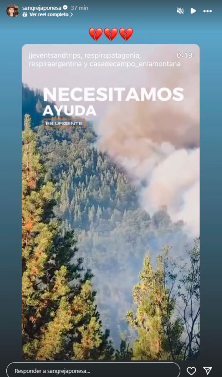 Se incendia la Patagonia: los desesperados pedidos de ayuda de los famosos