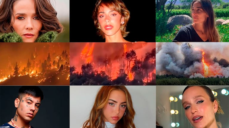 Se incendia la Patagonia: los desesperados pedidos de ayuda de los famosos