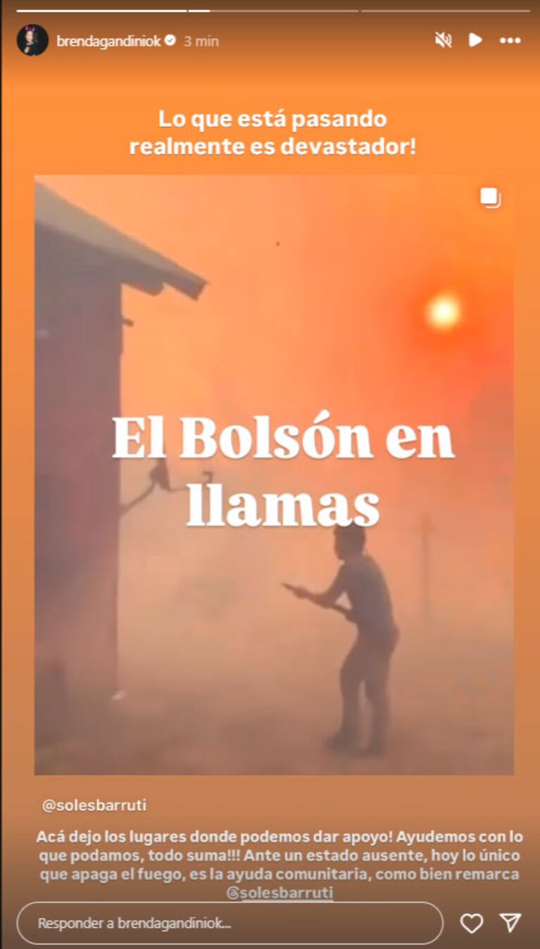 Se incendia la Patagonia: los desesperados pedidos de ayuda de los famosos