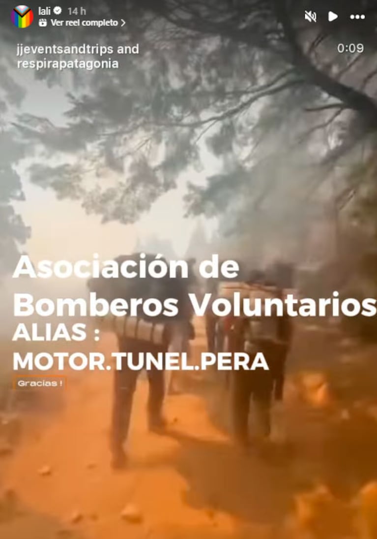 Se incendia la Patagonia: los desesperados pedidos de ayuda de los famosos