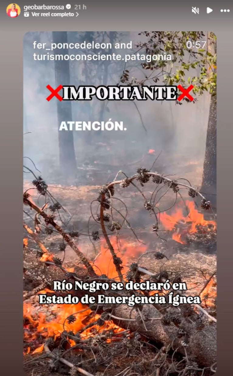Se incendia la Patagonia: los desesperados pedidos de ayuda de los famosos