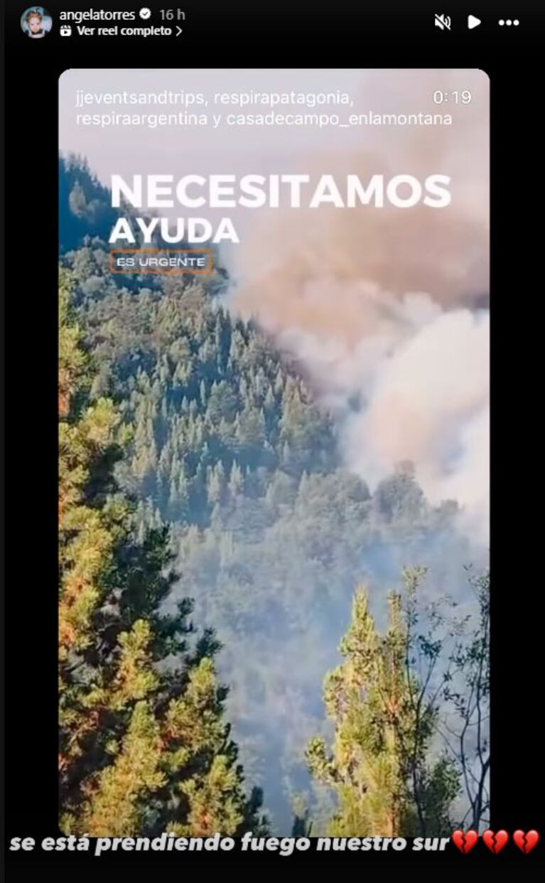 Se incendia la Patagonia: los desesperados pedidos de ayuda de los famosos