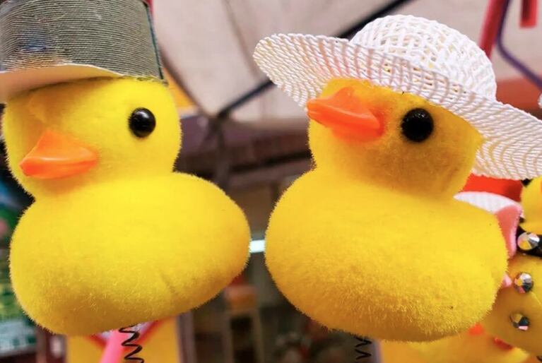 Se llaman Kawaii: cuánto cuestan los patitos que Yanina Latorre usa en la cabeza