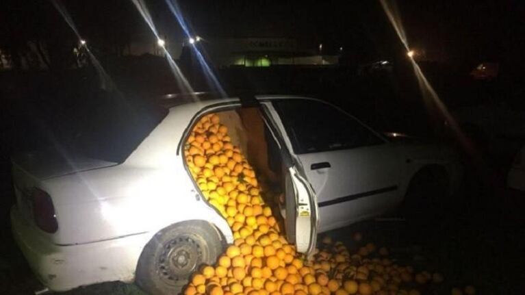 Se robaron un montón de naranjas y los delató su forma de conducir
