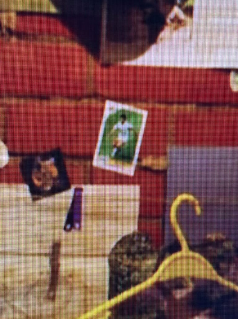 Se supo: Harry Potter es fanático de Diego Maradona y salieron a la luz las pruebas | Créditos: Captura HBO