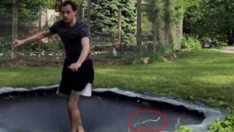 Se topa con una serpiente mientras graba tiktok en su cama elástica y se vuelve viral