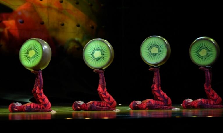 Se viene por primera vez a la Argentina OVO, el Megaespectáculo original del Cirque Du Soleil 