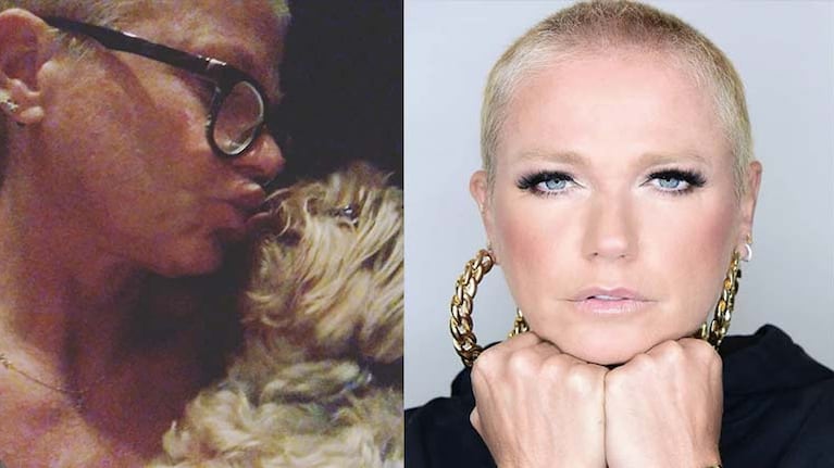 Según Xuxa, su perro estaba saludable y habría sufrido una mala praxis.