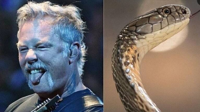Serpiente es bautizada como el cantante de Metallica y explican por qué