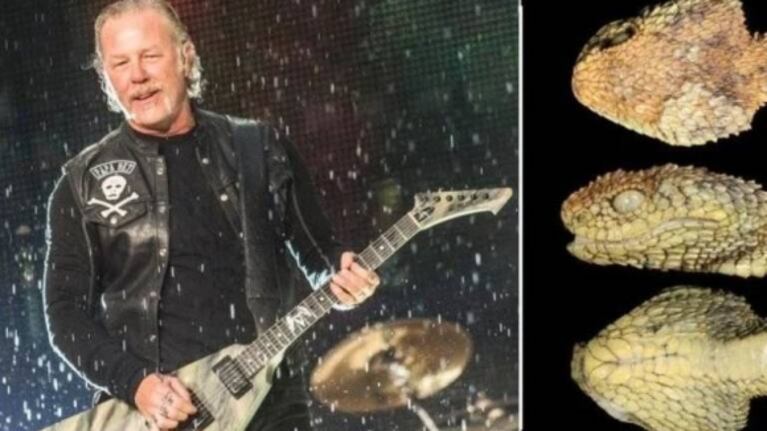 Serpiente es bautizada como el cantante de Metallica y explican por qué