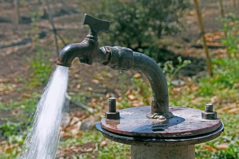 Sigue la polémica con los promotores del agua cruda