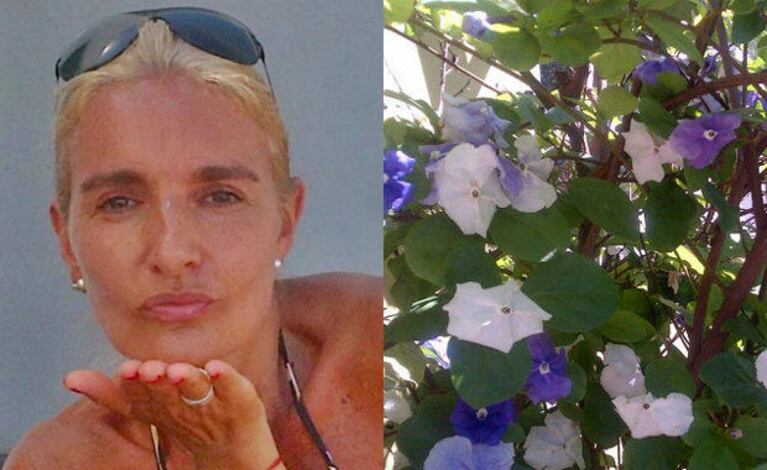 Silvia D´Auro subió una foto de unas flores de su jardín y una frase para sus hijas (Foto: Web y Twitter). 
