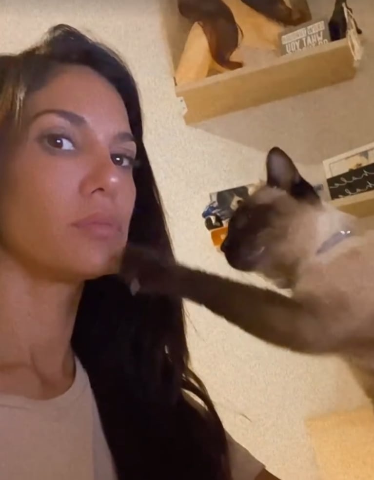 Silvina compartió un video con Áfrika, su gatita a quien extraña mucho.