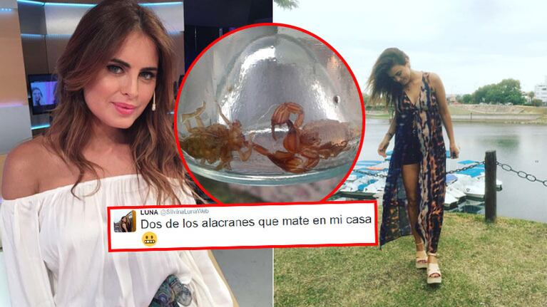 Silvina Luna, atemorizada por la presencia de alacranes en su casa (Foto: Twitter)