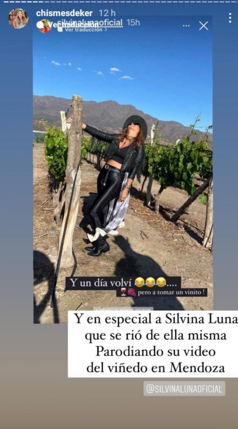 Silvina Luna parodió con humor su video en el viñedo de Mendoza: "Y un día volví"