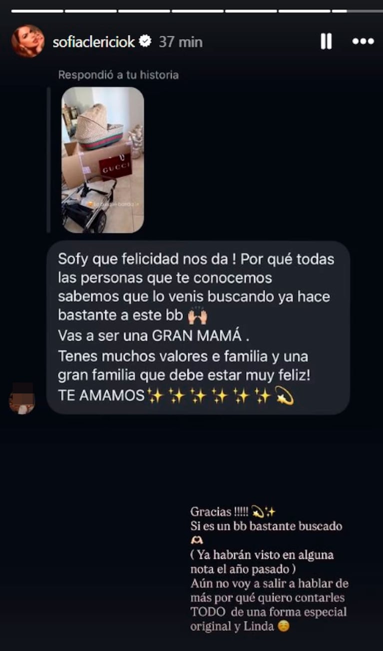 Sofía Clerici está embarazada (foto de instagram)