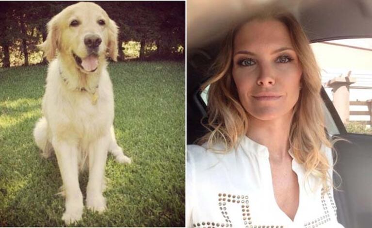 Sofía Zámolo lamentó la muerte de su perro Alfie. (Fotos. @sofizamolo)