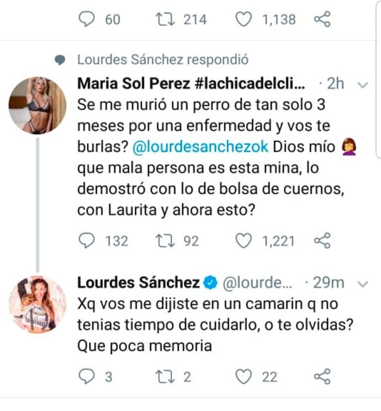 Sol Pérez acusó a Lourdes Sánchez de burlarse de la muerte de su perrito: la respuesta de la bailarina