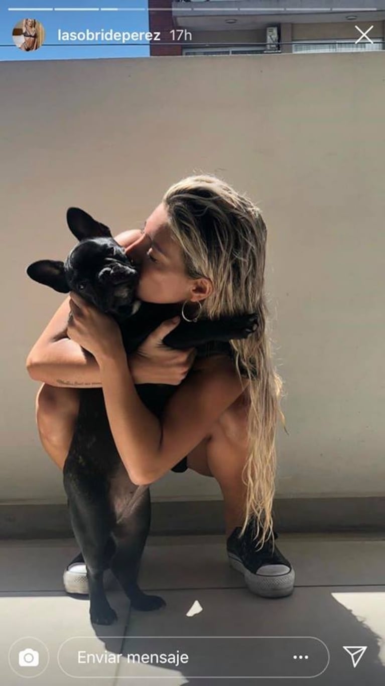 Sol Pérez presentó a su mascota, Tokio: ¡una bulldog francés divina!