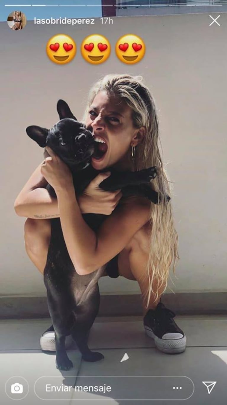 Sol Pérez presentó a su mascota, Tokio: ¡una bulldog francés divina!