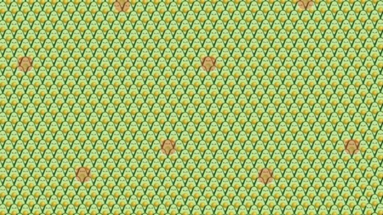 Solo para expertos: tenés un minuto para encontrar las ocho paltas sin “semilla”